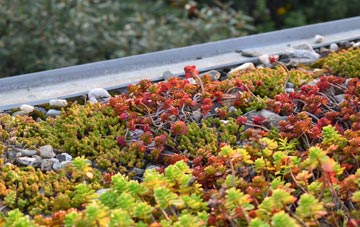 the cost of Leicestershire green roof installation