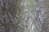 Leicestershire fibreglass roof work